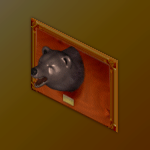 Bear Head Taxidermy