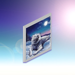 Snow Tiger