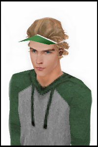 Visor