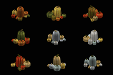 Pumpkin Bunch