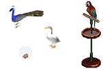 Click for Larger Zoom