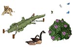 Click for Larger Zoom